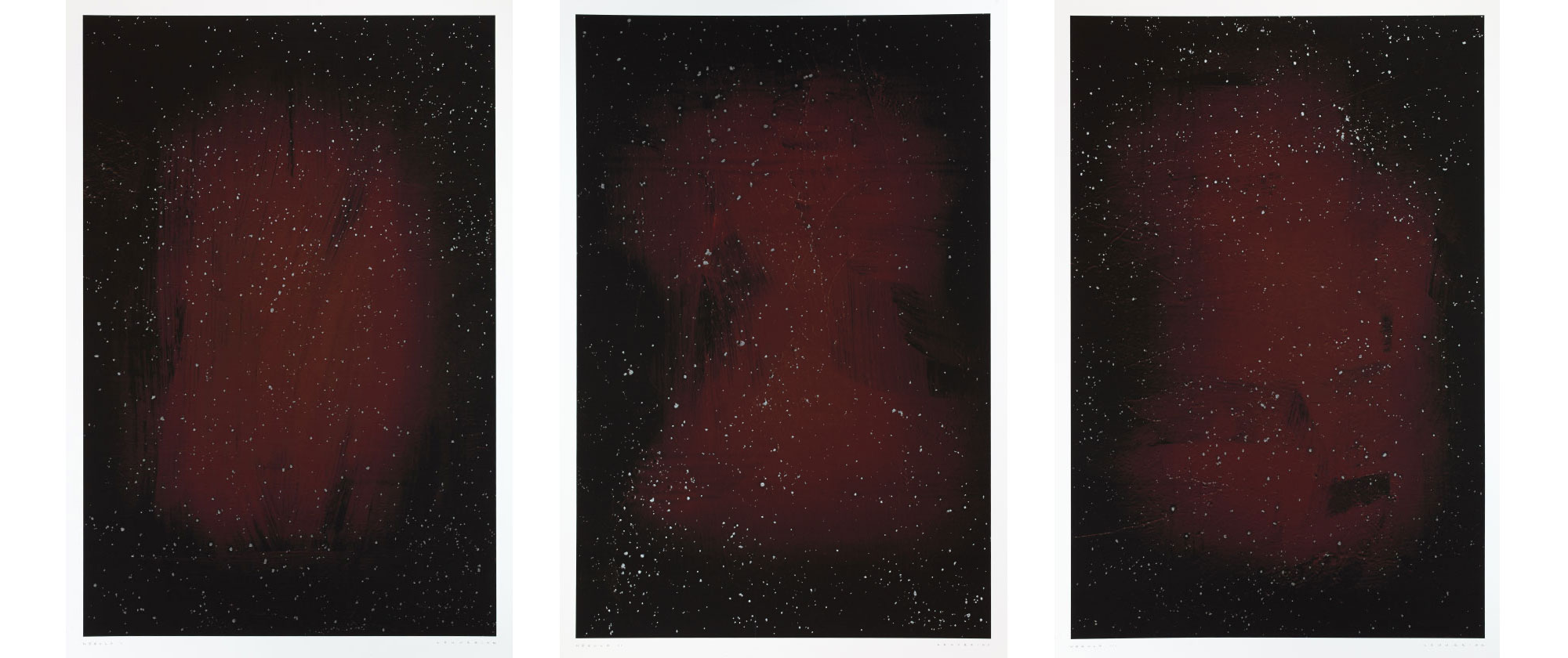 Nebulae (Triptych) / Graphite Pencil and Ink on Photographic Rag Paper. 260 x 390 mm x 3