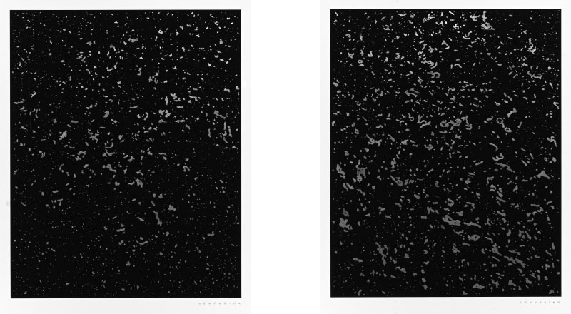 Foam (Diptych) / Graphite Pencil and Ink on Photographic Rag Paper. 160 x 200 mm x 2